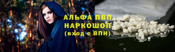спиды Алзамай