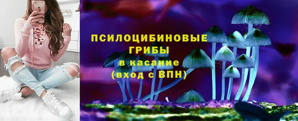 спиды Алзамай