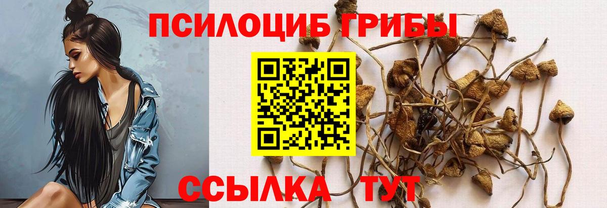 Галлюциногенные грибы Magic Shrooms Муравленко