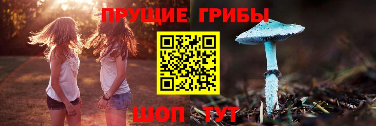 Муравленко  Галлюциногенные грибы мицелий  закладки  Вход с VPN 